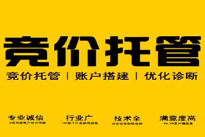 百度竞价推广案例：行业领军者成长故事